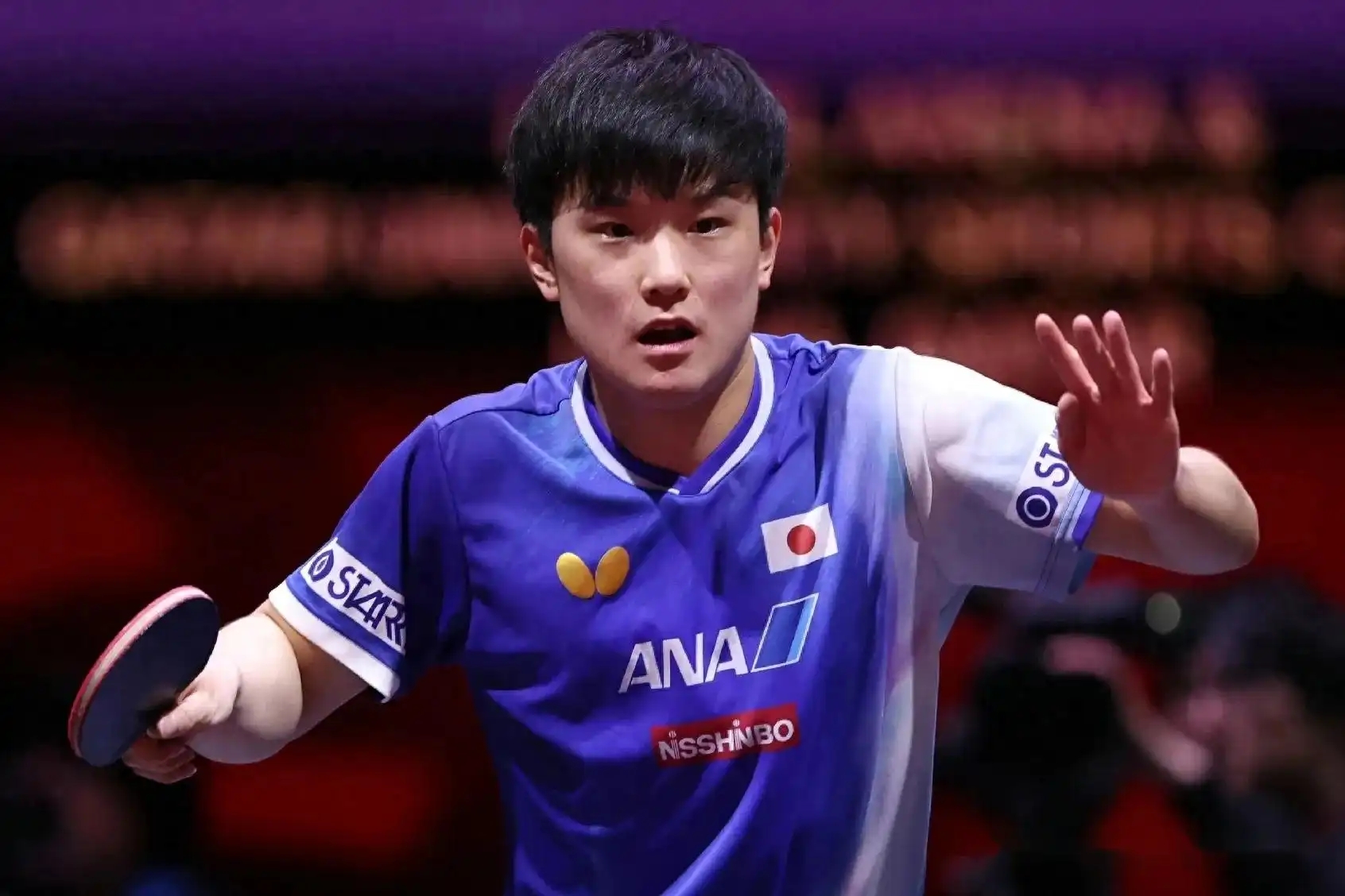 关于奥地利乒乓球队血洗韩国乒乓球队,张本智和惊艳世界的信息 关于奥地利乒乓球队血洗韩国乒乓球队,张本智和惊艳世界的信息