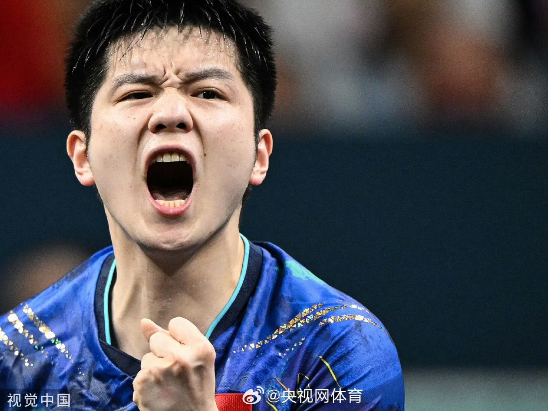 包含比利时乒乓球队险胜法国乒乓球队，樊振东绝境逆转的词条