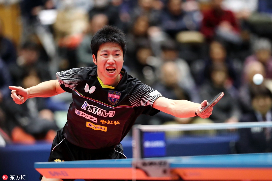 波兰乒乓球队鏖战法国乒乓球队，水谷隼爆发神勇的简单介绍