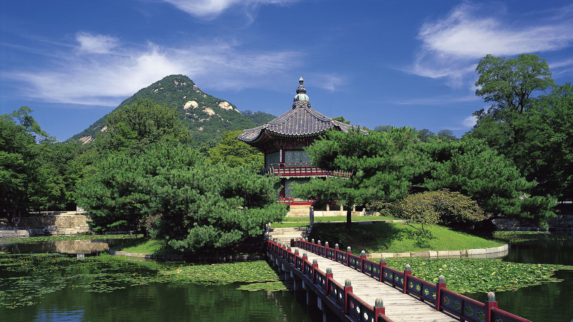 鹰击长空终折翼,西亚卡姆惊艳定乾坤—浙江队终结老鹰连胜传奇