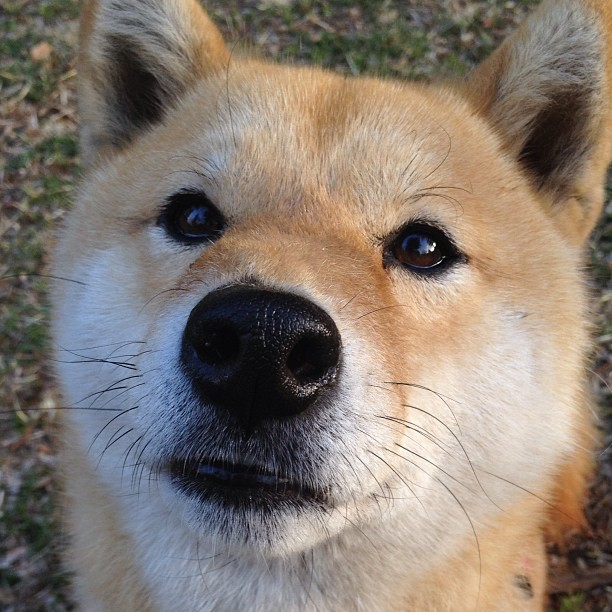 街道轰鸣与球场狂澜,F1焦点战与广东横扫的双重奏